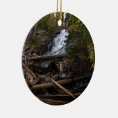 Décoration En Céramique Fern Falls au parc national Rocky Mountain (Droite)