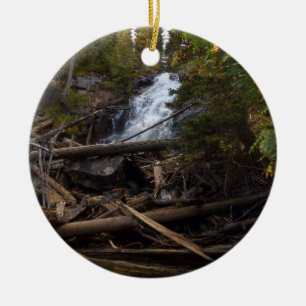 Décoration En Céramique Fern Falls au parc national Rocky Mountain