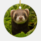 Décoration En Céramique Ferret pour animaux dans l'herbe (Dos)