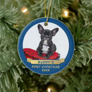 Décoration En Céramique Festin 1er Noël Ruban bleu Chiot bleu photo