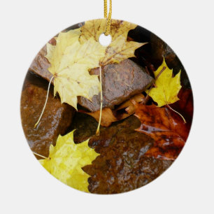 Décoration En Céramique Feuilles mouillées et rochers Photographie de la n