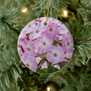 Décoration En Céramique Fleur Botanique Vibrante de Phlox en Fleur