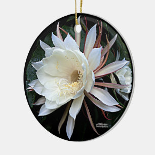 Décoration En Céramique Fleur de cactus épiphyte