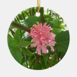 Décoration En Céramique fleur en panache brésilienne