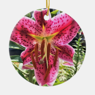 Décoration En Céramique Fleur Lily Stargazer
