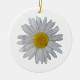 Décoration En Céramique Fleur marguerite blanche, marguerite florissante, 