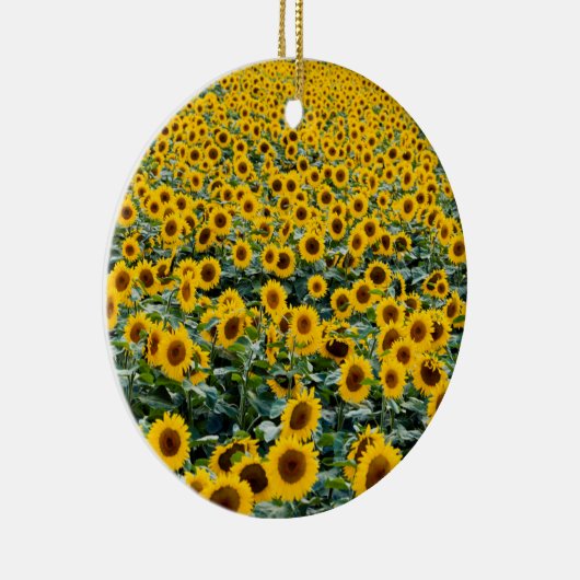 Décoration En Céramique Fleurs de soleil, Wisconsin field (Droite)