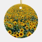 Décoration En Céramique Fleurs de soleil, Wisconsin field (Devant)