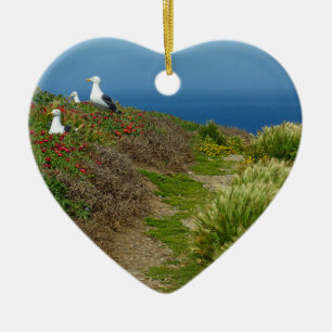 Décoration En Céramique Fleurs et mouettes sur l'île d'Anacapa