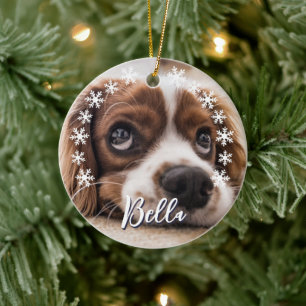 Décoration En Céramique Flocons de neige personnalisés au nom de chien Noë