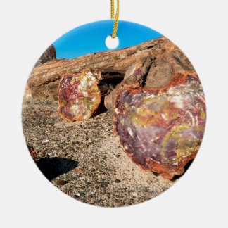 Décoration En Céramique Forêt Petrified de parc
