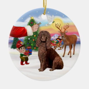 Décoration En Céramique Friandise pour un Irish Water Spaniel