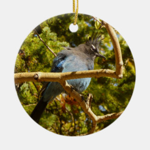 Décoration En Céramique Geai de Steller au parc national de Rocky Mountain