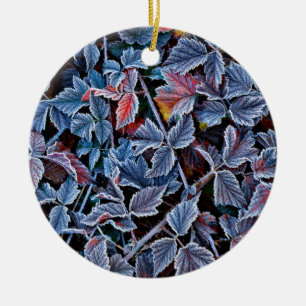 Décoration En Céramique Gelée blanche sur feuilles d'automne, Oregon