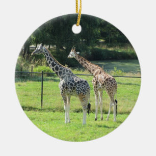 Décoration En Céramique Girafes