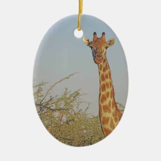 DÉCORATION EN CÉRAMIQUE GIRAFFE (Devant)