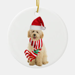 Décoration En Céramique Goldendoodle avec Scafe Casquette Noël