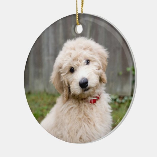Décoration En Céramique Goldendoodle Puppy Se Trouve Dans L'Herbe (Gauche)