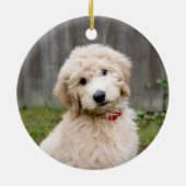 Décoration En Céramique Goldendoodle Puppy Se Trouve Dans L'Herbe (Dos)
