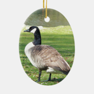 Décoration En Céramique Goose at the waterfront, Wildlife Animals, Nature