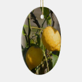 Décoration En Céramique Graphiques Citron Espagnol (Droite)