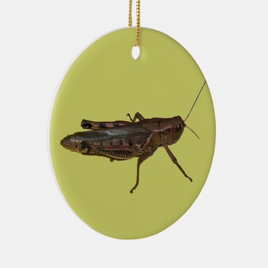 Décoration En Céramique Grasshopper Design (Droite)