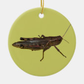 Décoration En Céramique Grasshopper Design (Devant)