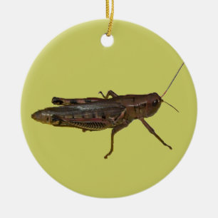 Décoration En Céramique Grasshopper Design
