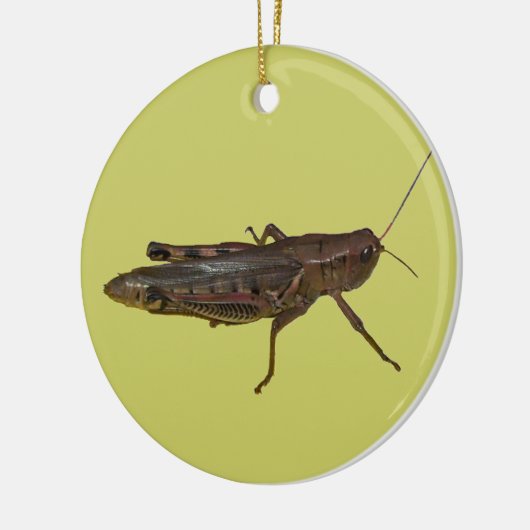 Décoration En Céramique Grasshopper Design (Gauche)