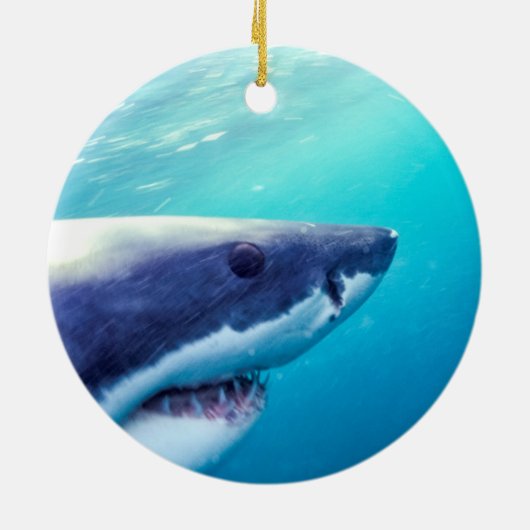 Décoration En Céramique Great White Shark | Afrique du Sud (Dos)