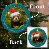 Green Oh, Quel Amusant Ferret Pet Noël