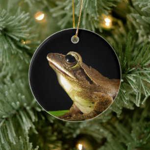 Décoration En Céramique Grenouille charmante sur un nénuphar, nénuphar