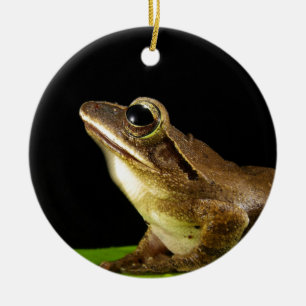 Décoration En Céramique Grenouille charmante sur un nénuphar, nénuphar