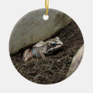 Décoration En Céramique Grenouille sale