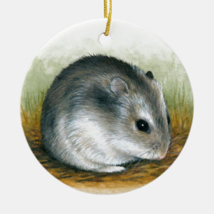Décoration En Céramique Hamster 25