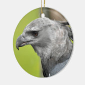 Décoration En Céramique Harpy Eagle 2.JPG (Gauche)