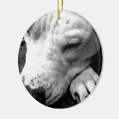 Décoration En Céramique harry potier cicatrice chien blanc pit bull (Gauche)