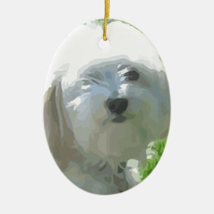 Décoration En Céramique Havanese