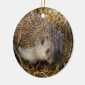 Décoration En Céramique Hérisson adorable dans le champ de boule (Gauche)