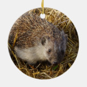 Décoration En Céramique Hérisson adorable dans le champ de boule (Dos)