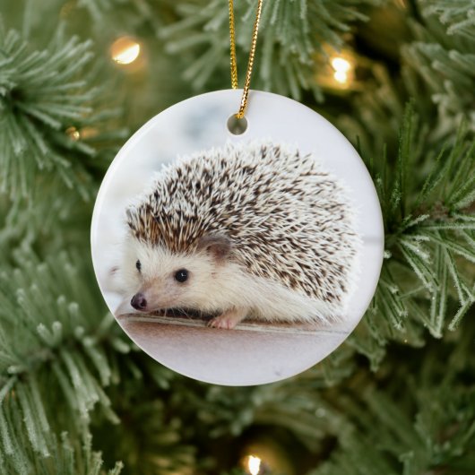 Décoration En Céramique Hérisson pour animal (Arbre)