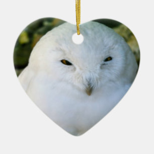 Décoration En Céramique Hibou des neiges