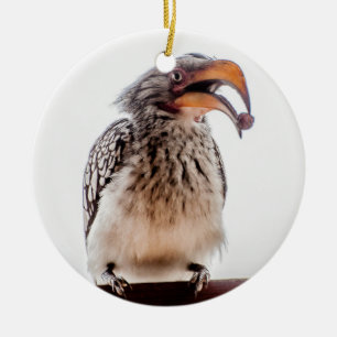 Décoration En Céramique Hornbill avec semence dans la bouche