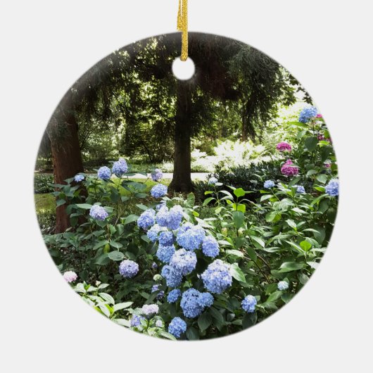 Décoration En Céramique Hydrangea Floral Trees Nature Photographie (Dos)