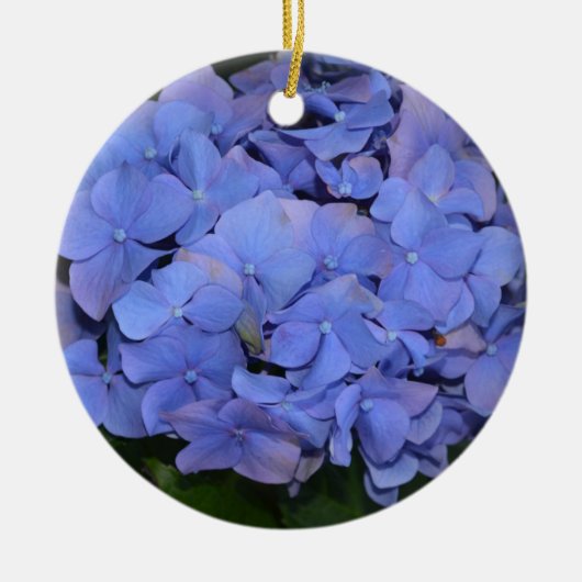 Décoration En Céramique Hydrangea macrophylla violette rustique (Devant)