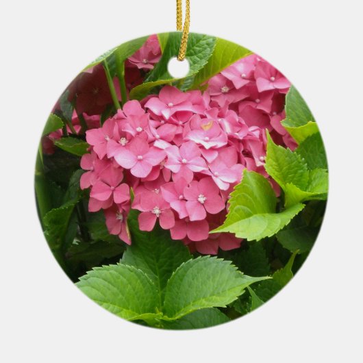 Décoration En Céramique Hydrangea Rose Clair (Devant)