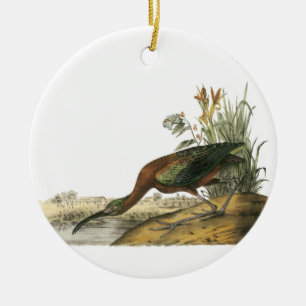 Décoration En Céramique IBIS brillant, John Audubon