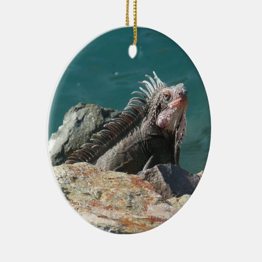 Décoration En Céramique Iguana à St Thomas (Droite)