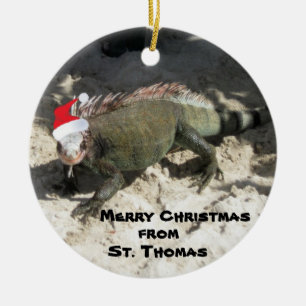 Décoration En Céramique Iguana et Casquette de Noël, Joyeux Noël, pour...