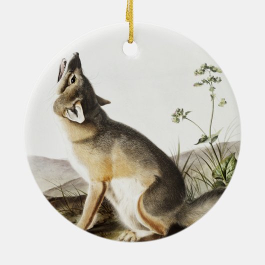 Décoration En Céramique Illustration de Fox (Vulpes velox) (Dos)